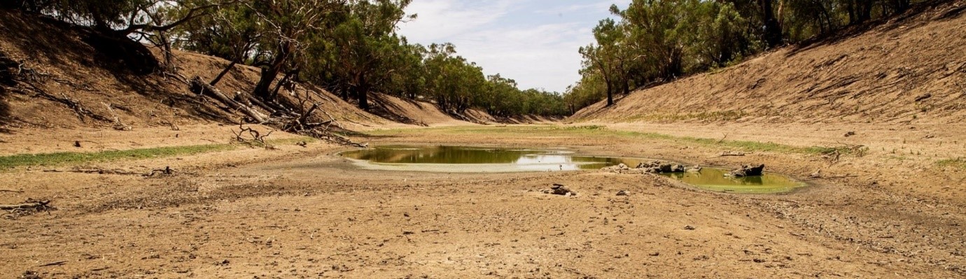 InCubed supports InfoSequia’s satellite-based Drought Early Warning and Forecasting System